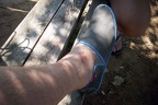 IMG 4377