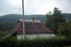 IMG 3388