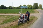 IMG 4951